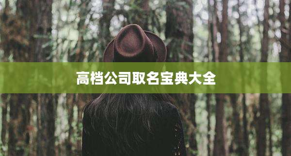 高档公司取名宝典大全