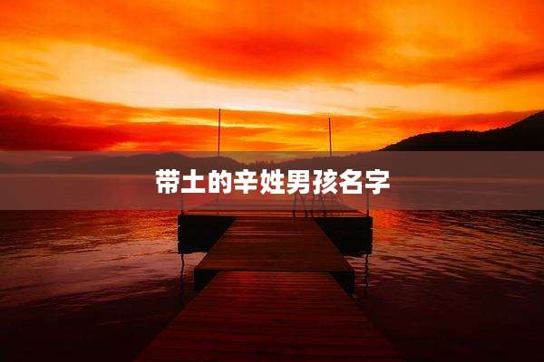 带土的辛姓男孩名字