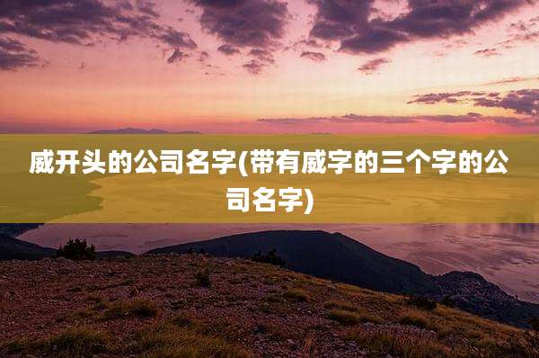 威开头的公司名字(带有威字的三个字的公司名字)