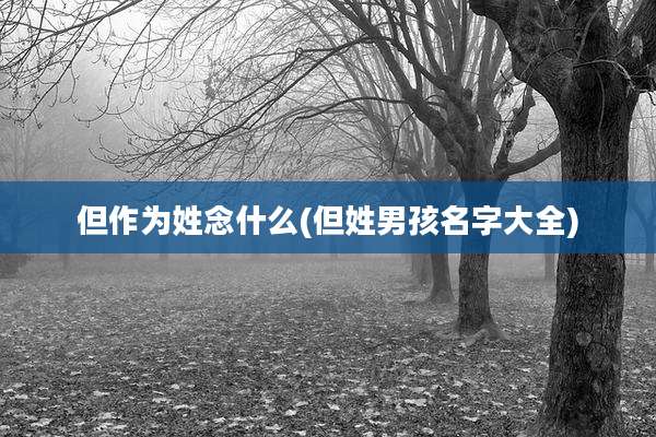 但作为姓念什么(但姓男孩名字大全)