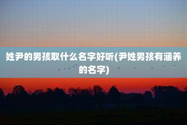 姓尹的男孩取什么名字好听(尹姓男孩有涵养的名字)
