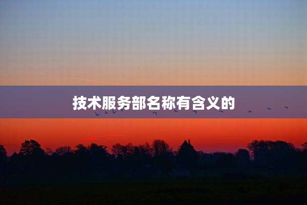 技术服务部名称有含义的