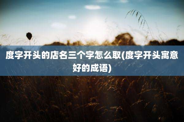 度字开头的店名三个字怎么取(度字开头寓意好的成语)