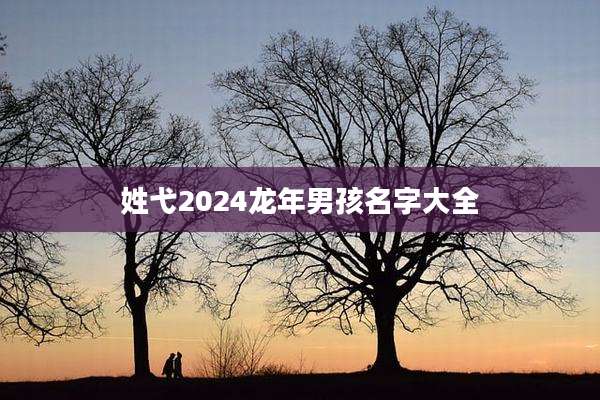 姓弋2024龙年男孩名字大全