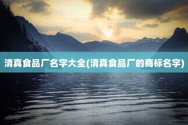 清真食品厂名字大全(清真食品厂的商标名字)
