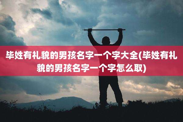 毕姓有礼貌的男孩名字一个字大全(毕姓有礼貌的男孩名字一个字怎么取)