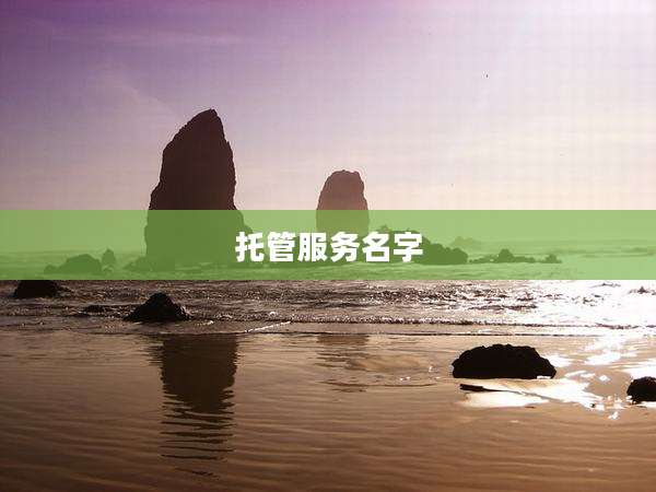 托管服务名字