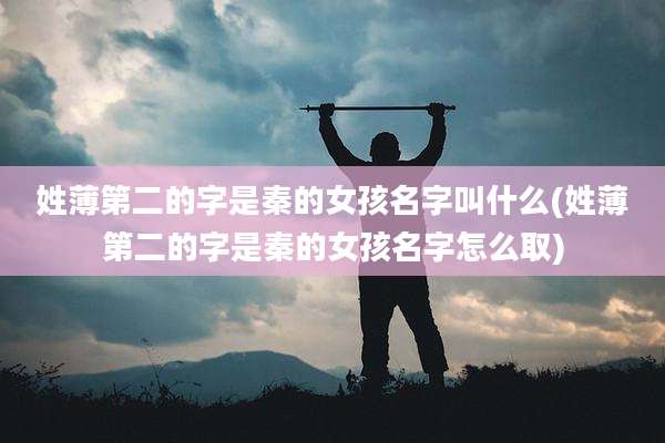 姓薄第二的字是秦的女孩名字叫什么(姓薄第二的字是秦的女孩名字怎么取)