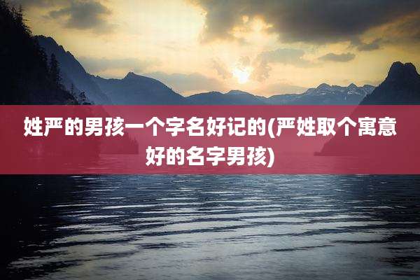 姓严的男孩一个字名好记的(严姓取个寓意好的名字男孩)