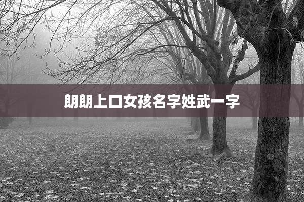 朗朗上口女孩名字姓武一字