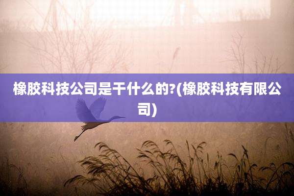 橡胶科技公司是干什么的?(橡胶科技有限公司)