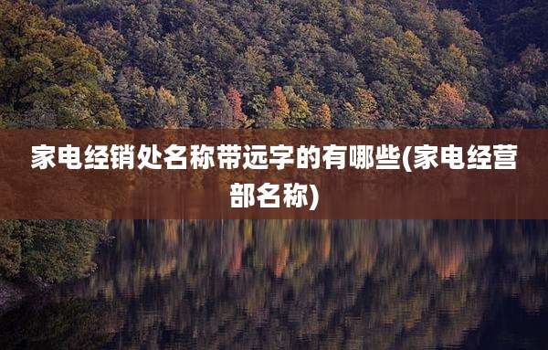 家电经销处名称带远字的有哪些(家电经营部名称)