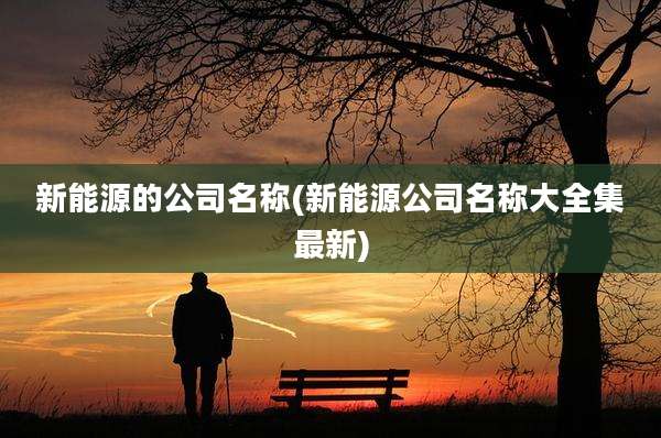 新能源的公司名称(新能源公司名称大全集最新)