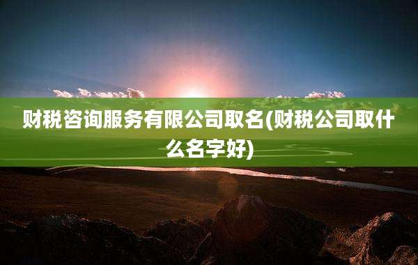财税咨询服务有限公司取名(财税公司取什么名字好)