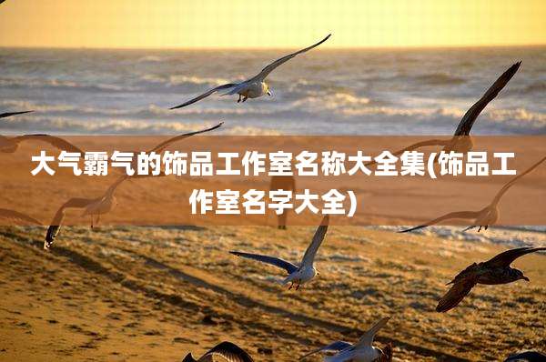 大气霸气的饰品工作室名称大全集(饰品工作室名字大全)
