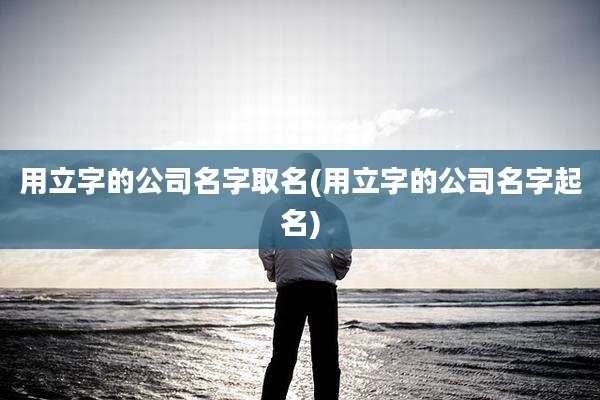 用立字的公司名字取名(用立字的公司名字起名)