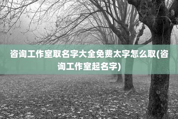 咨询工作室取名字大全免费太字怎么取(咨询工作室起名字)