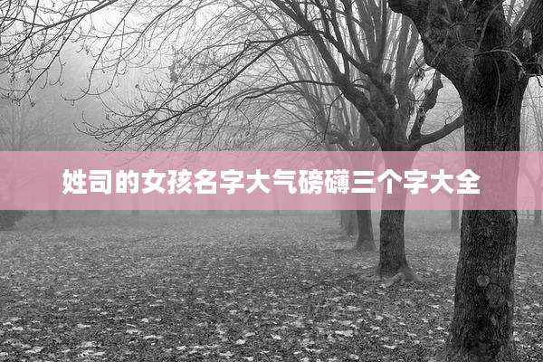 姓司的女孩名字大气磅礴三个字大全