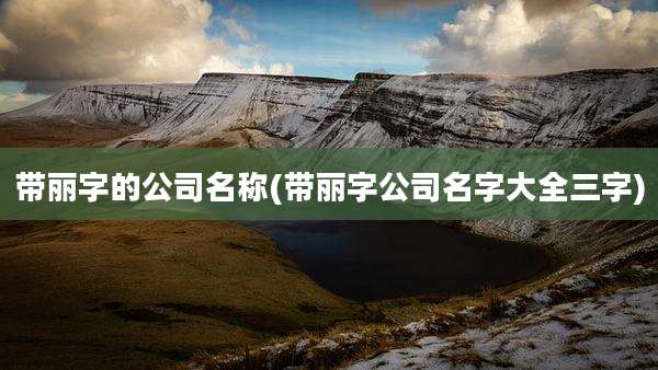 带丽字的公司名称(带丽字公司名字大全三字)