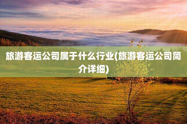 旅游客运公司属于什么行业(旅游客运公司简介详细)