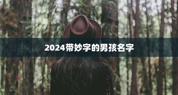 2024带妙字的男孩名字