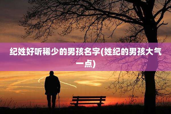 纪姓好听稀少的男孩名字(姓纪的男孩大气一点)