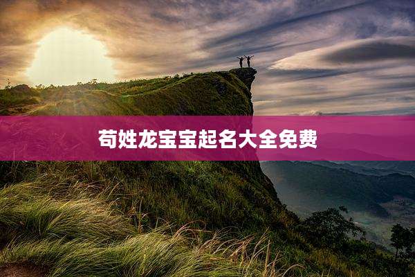 苟姓龙宝宝起名大全免费