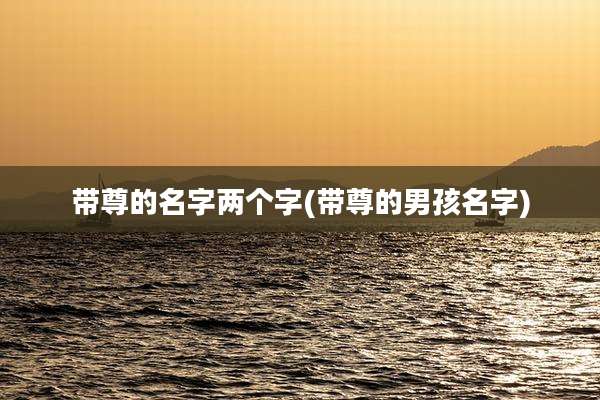 带尊的名字两个字(带尊的男孩名字)