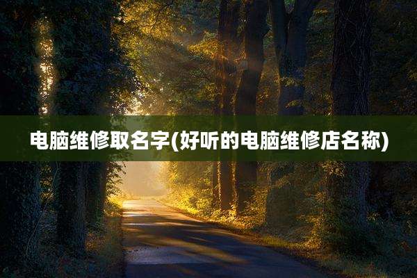 电脑维修取名字(好听的电脑维修店名称)