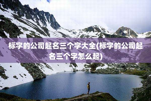 标字的公司起名三个字大全(标字的公司起名三个字怎么起)