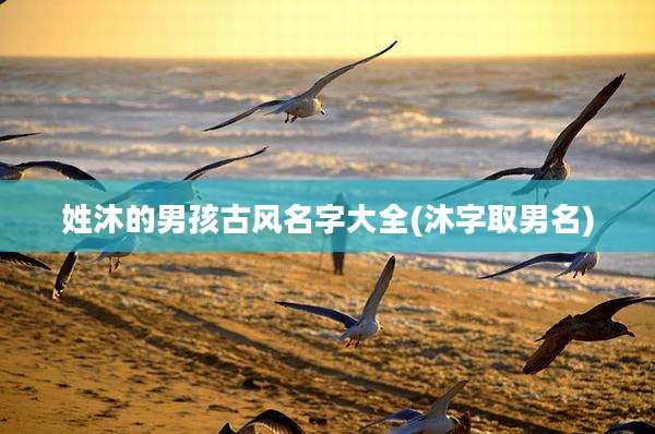 姓沐的男孩古风名字大全(沐字取男名)