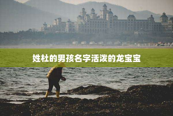 姓杜的男孩名字活泼的龙宝宝
