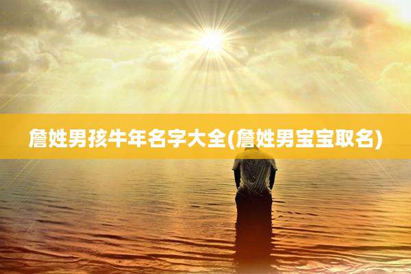詹姓男孩牛年名字大全(詹姓男宝宝取名)