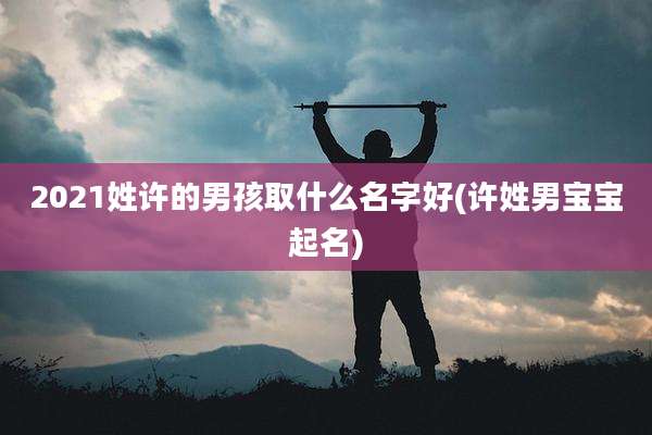 2021姓许的男孩取什么名字好(许姓男宝宝起名)