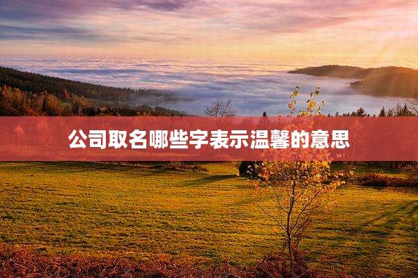 公司取名哪些字表示温馨的意思
