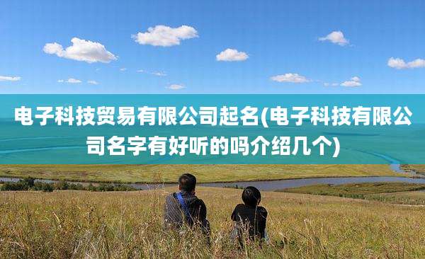 电子科技贸易有限公司起名(电子科技有限公司名字有好听的吗介绍几个)