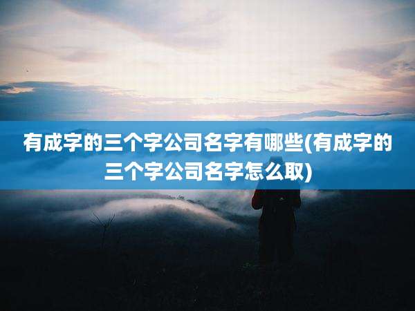 有成字的三个字公司名字有哪些(有成字的三个字公司名字怎么取)