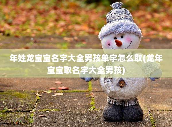 年姓龙宝宝名字大全男孩单字怎么取(龙年宝宝取名字大全男孩)