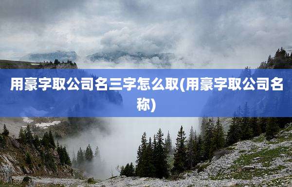 用豪字取公司名三字怎么取(用豪字取公司名称)