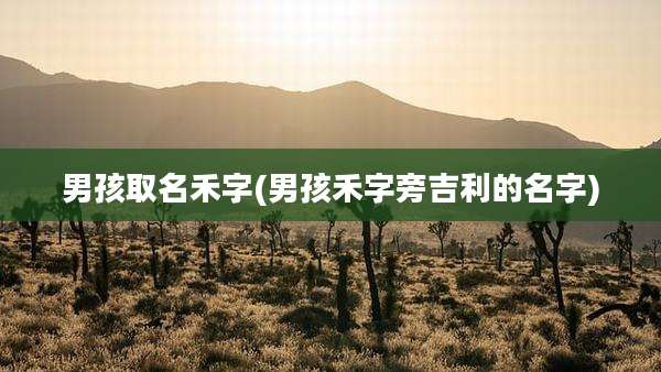 男孩取名禾字(男孩禾字旁吉利的名字)