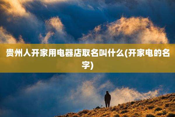 贵州人开家用电器店取名叫什么(开家电的名字)