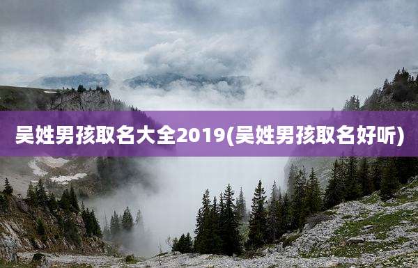 吴姓男孩取名大全2019(吴姓男孩取名好听)