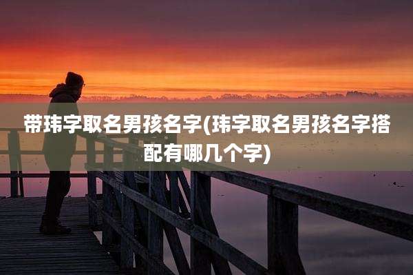 带玮字取名男孩名字(玮字取名男孩名字搭配有哪几个字)