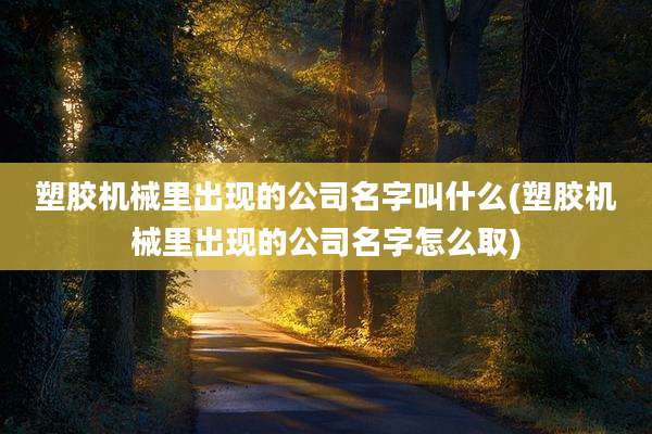 塑胶机械里出现的公司名字叫什么(塑胶机械里出现的公司名字怎么取)