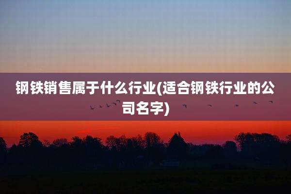 钢铁销售属于什么行业(适合钢铁行业的公司名字)
