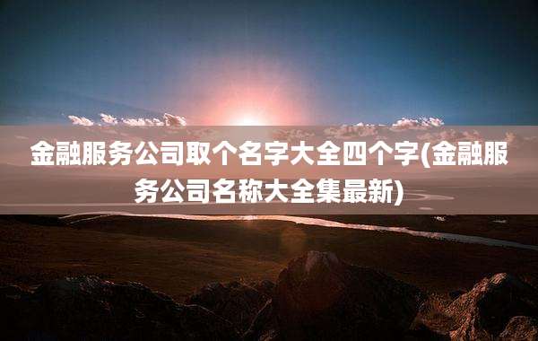 金融服务公司取个名字大全四个字(金融服务公司名称大全集最新)