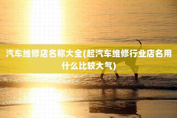 汽车维修店名称大全(起汽车维修行业店名用什么比较大气)
