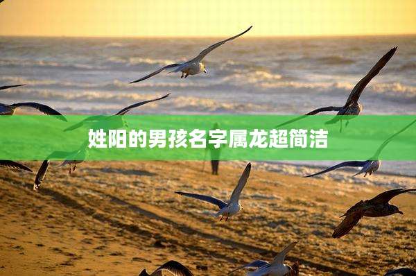 姓阳的男孩名字属龙超简洁