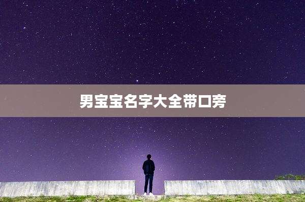 男宝宝名字大全带口旁