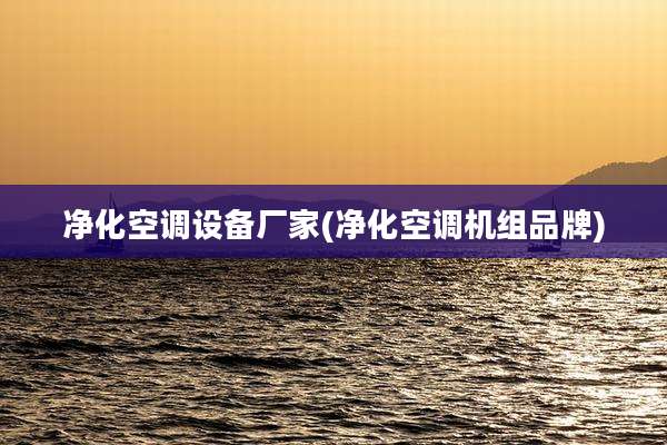 净化空调设备厂家(净化空调机组品牌)